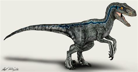 jurassic world velociraptor blue  nikorex  deviantart