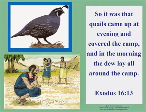 bible fun  kids moses manna quail  eat