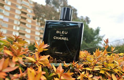 bleu de chanel parfum review    version   offer