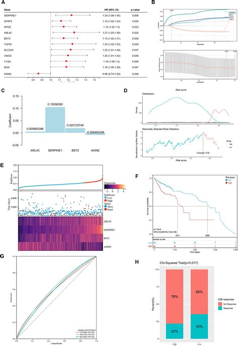 Frontiers Molecular Patterns Based On Immunogenomic Signatures