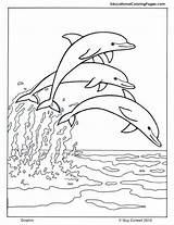 Coloring Pages Dolphin Print sketch template