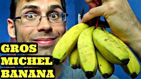 Gros Michel Banana Review Weird Fruit Explorer Ep 150