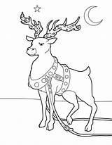 Reindeer Coloring Christmas Pages Adorned Color Holidays Print Hellokids Coloringpagesonly sketch template