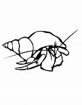 Crawfish Boil Clipart Template Library Coloring Cliparts Line sketch template