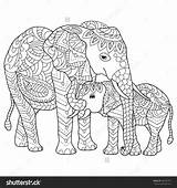Elephant Adults Drawn Elefantes sketch template