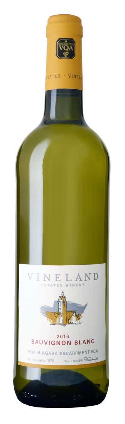 sauvignon blanc vinelandwineshopcom