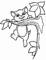 Climbing Templates Kitty Designlooter Gat Gatos Pintar sketch template