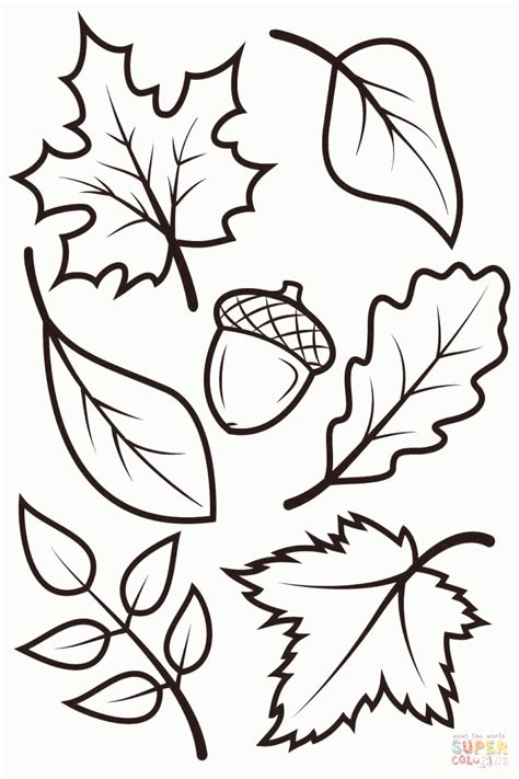 fall coloring pages  kids fall leaves  acorn coloring page