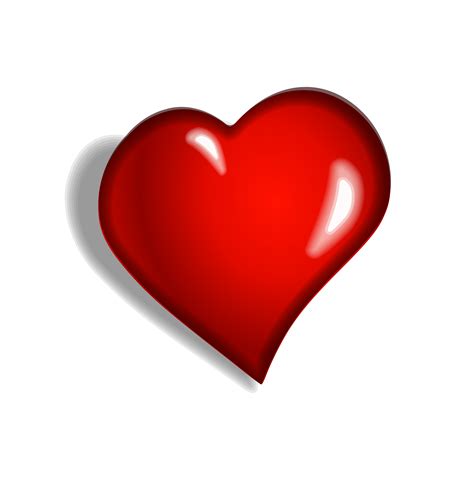 red heart vector graphics image  stock photo public domain