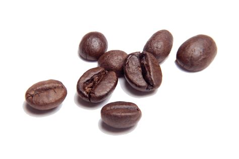 coffee bean noomi health