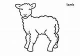 Lamb Coloring Spring Sheep Lambs Pages Cartoon Outline Color Little Print Drawing Coloringsky Kids Preschool Animal Choose Board sketch template