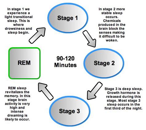 sleep mystery   dream  rem  nightmares   rem sleep cycle