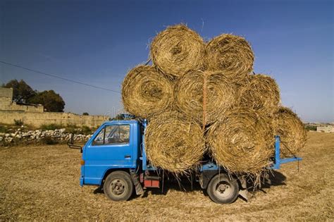 small hay truck stock image image   barn whet