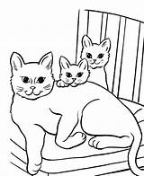 Coloring Cats Pages Kids Print Coloringkids sketch template