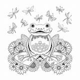 Coloring Pages Frog Colouring Book Coloring4free Adults Books Forest Enchanted Printable Johanna Basford Amphibien Kids Para Mandala Animal Print Colorir sketch template