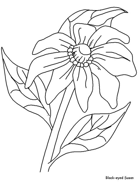 realistic flower coloring pages coloring home