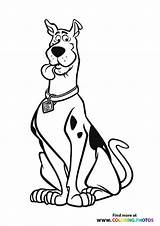 Scooby Doo Coloring Toppng sketch template