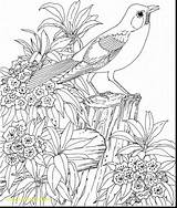 Coloring Pages Scenery Adults Tropical Beautiful Drawing Adult Printable Getdrawings Birds Color Scenes Print Getcolorings Christmas sketch template