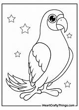 Parrots Parrot Iheartcraftythings Adults Yellows sketch template
