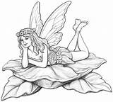 Fairy Pencil Fairies Garden Drawing Mikesell Coroflot Drawings Coloring Nicholas Pages Sketch Designs Draw Line Tattoo Stepping Stakes Including Concept sketch template