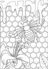 Bee Adults Abeille Coloriage Miel Colorir Mariposas Hive Erwachsene Insekten Schmetterlinge Insectos Farfalle Insetti Ruche Mandala Malbuch Adulti Colmeia Insectes sketch template