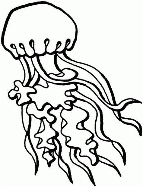 jellyfish coloring pages clipart