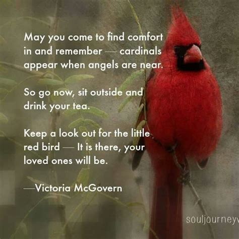 pin  judy vlcek  poems cardinal birds meaning cardinals
