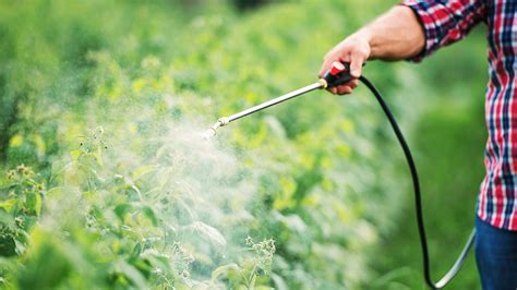 organic harmful effects  chemical pesticides