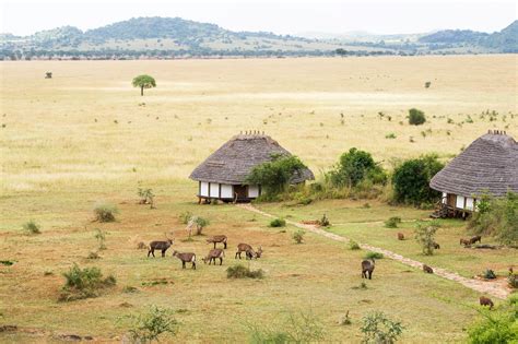 beautiful lodges  uganda africas   secret vogue