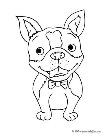 chihuahua coloring pages  getcoloringscom  printable colorings