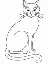 Calico Dessin Siamese 1876 Coloriage Kitten Coloriages Getcolorings Impressionnant sketch template
