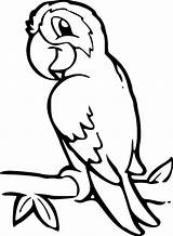 Parrot Coloring Pages Choose Board sketch template