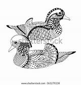 Mandarin Zentangle Bird Adult sketch template