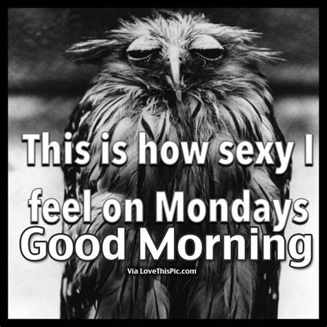 this is how sexy i feel on mondays good morning pictures photos and
