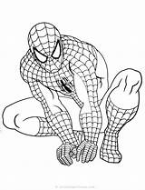 Spiderman Colorat Planse Fise Desene Far Omul Paianjen sketch template