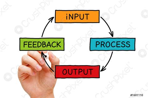 input process output