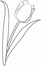 Tulip Template Coloring Pages Paper Printable Drawing Outline Templates Crafts sketch template