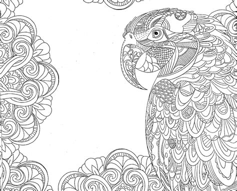 tropical parrot coloring colorir colouring pages adult coloring pages