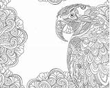 Coloring Parrot Adult Mandalas Pages Tropical Destress Therapy Colouring Colorir sketch template