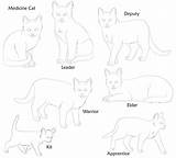 Warrior Cats Coloring Cat Pages Clan Bases Dog Print Rose Template Colouring Deviantart Timeless Miracle Drawings Popular Paint Coloringhome Made sketch template