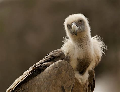 deel de natuur