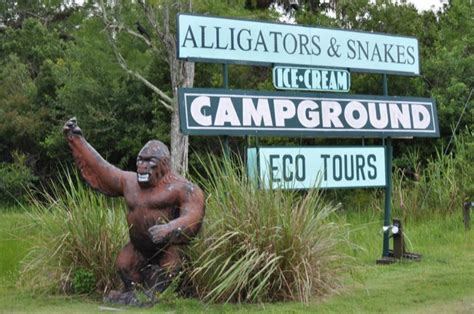 the 13 weirdest roadside attractions in florida