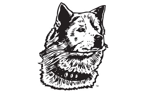 washington huskies logo  symbol meaning history png brand