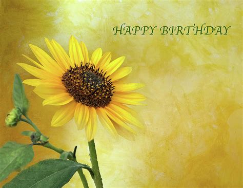 special sunflower birthday wishes ubicaciondepersonascdmxgobmx