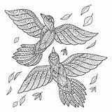 Vogels Kleurboek Schets Vliegen Volwassen Getrokken Flying sketch template
