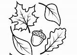 Coloring Acorn Pages Getcolorings Fall Leaves Color sketch template