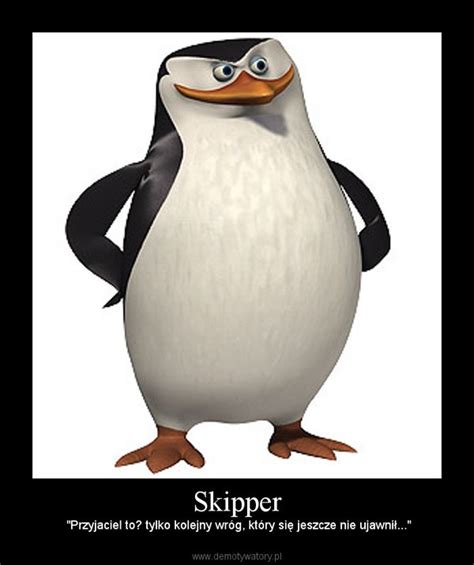 skipper demotywatorypl