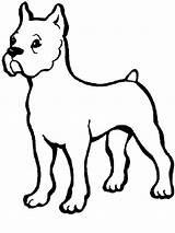 Boxer Dog Coloring Pages Baby Drawing Color Puppy Print Getcolorings Getdrawings Button Through sketch template