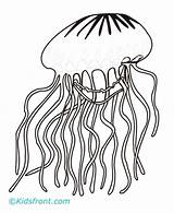 Coloring Pages Jellyfish Invertebrates Getdrawings sketch template