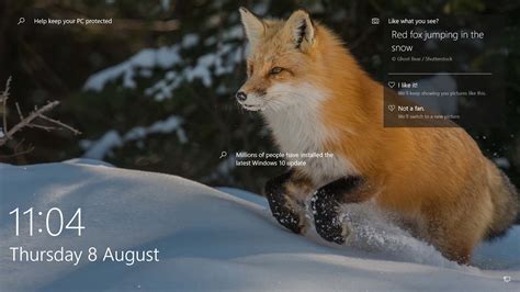 Screensaver Red Fox Jumping In The Snow Anino
